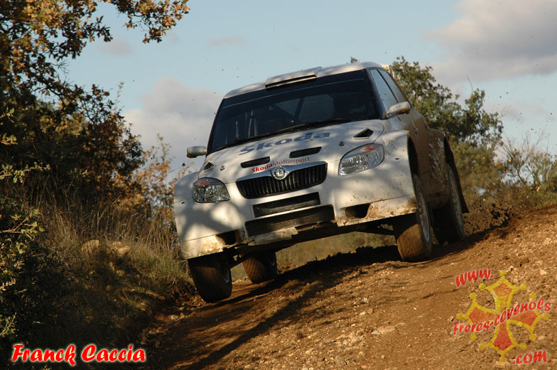 skoda-2