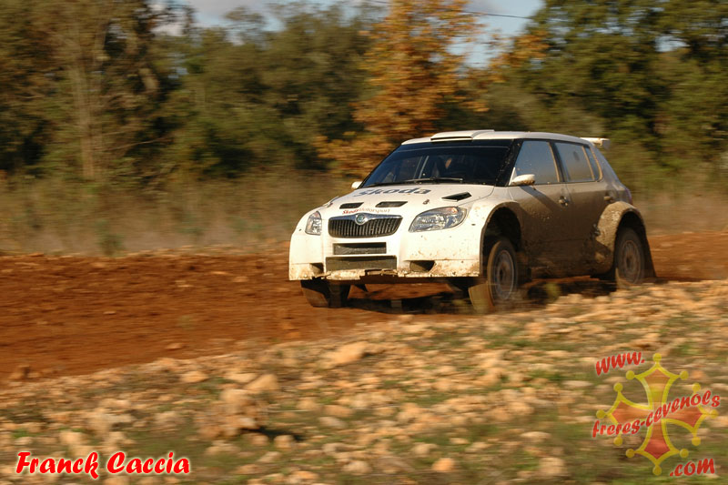 skoda-3