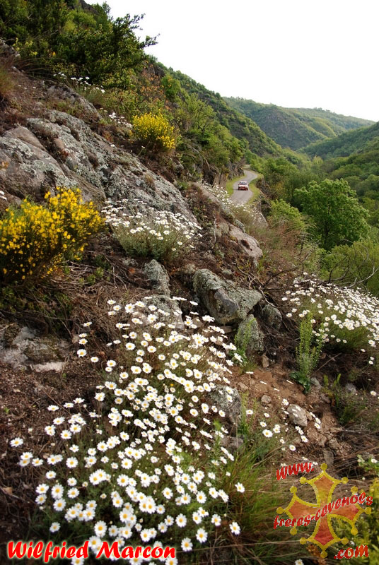Vallee-de-la-Cance