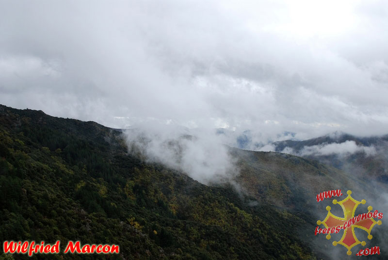 Brouillard