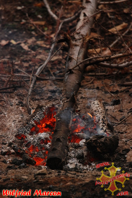 Feu-de-bois