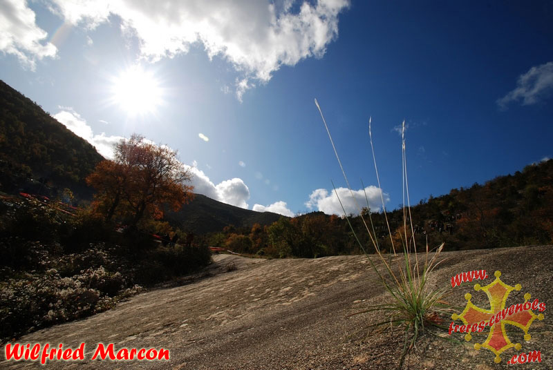 Paysage