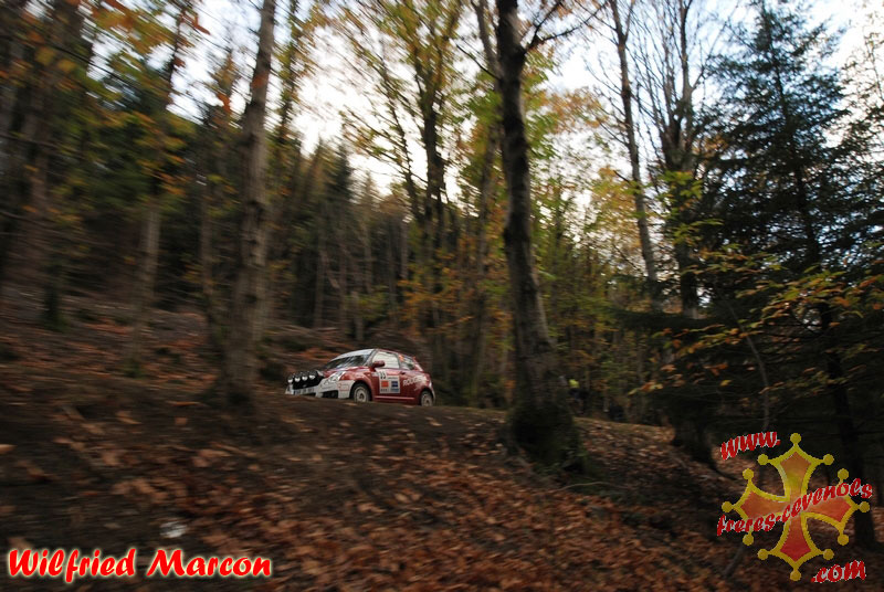 Suzuki-Rougier