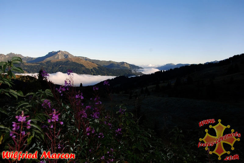 Paysage