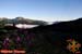 Paysage